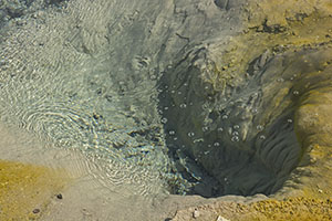 Yellowstone-land